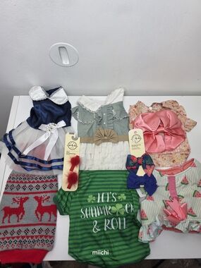 Assorted Pet Outfits & Accessories - Multi Color Set